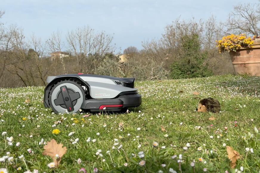 Roborock RockMow S1 weicht einem Hindernis im Garten aus, Hindernistest mit Igelmodell